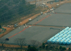 Ryba ulovená u Fukušimy mnohonásobně překročila limit pro radioaktivní cesium