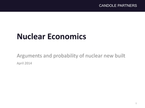 Jaderná ekonomika - Argumenty a pravděpodobnost výstavby jaderných elektráren [anglicky]